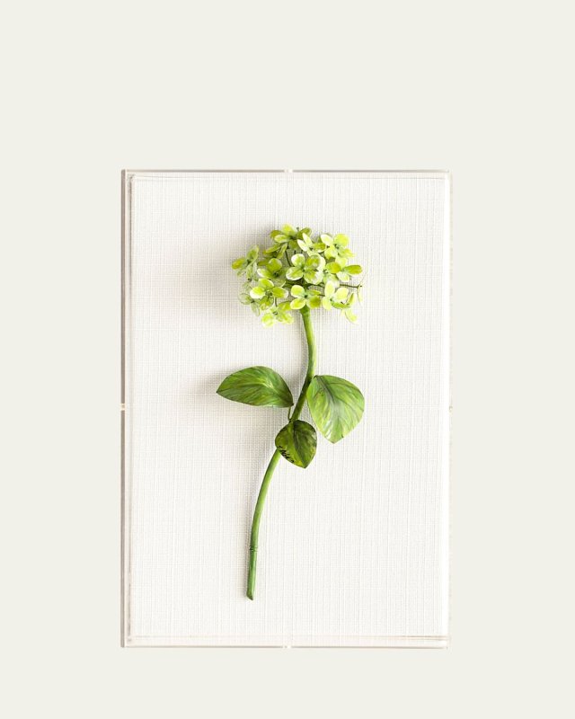 Original Painted Hydrangea Study